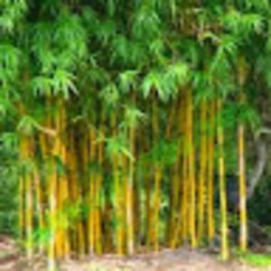 Meet your Posher, Mai